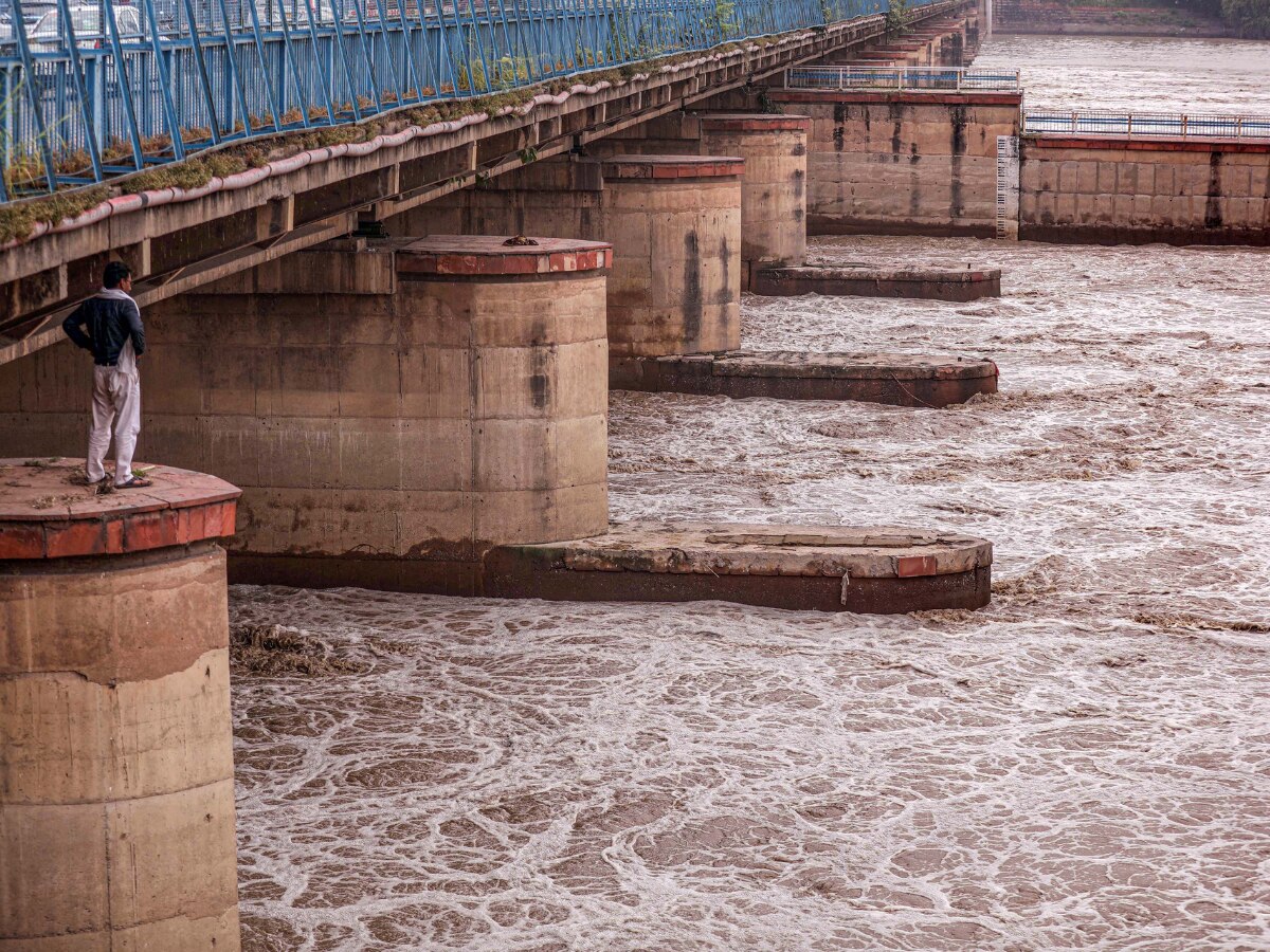 NGT Takes Cognisance of Incomplete Yamuna Floodplains Demarcation